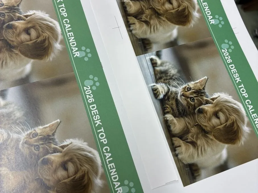 #16今年もこの季節が・・・